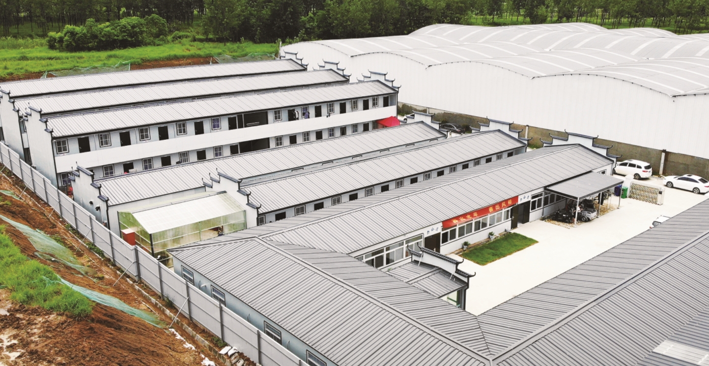 T式板房-中铁四局集团有限公司-合新制梁场